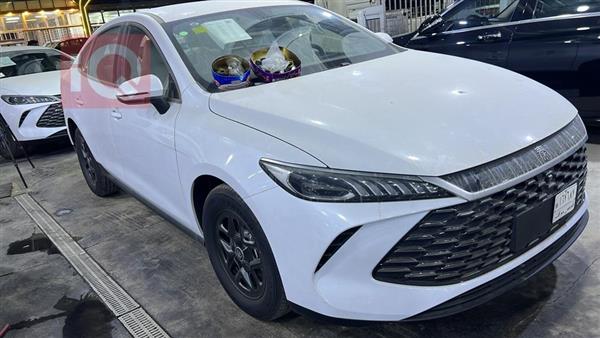 بي واي دي Qin Plus 2025 للبيع في العراق -  بغداد